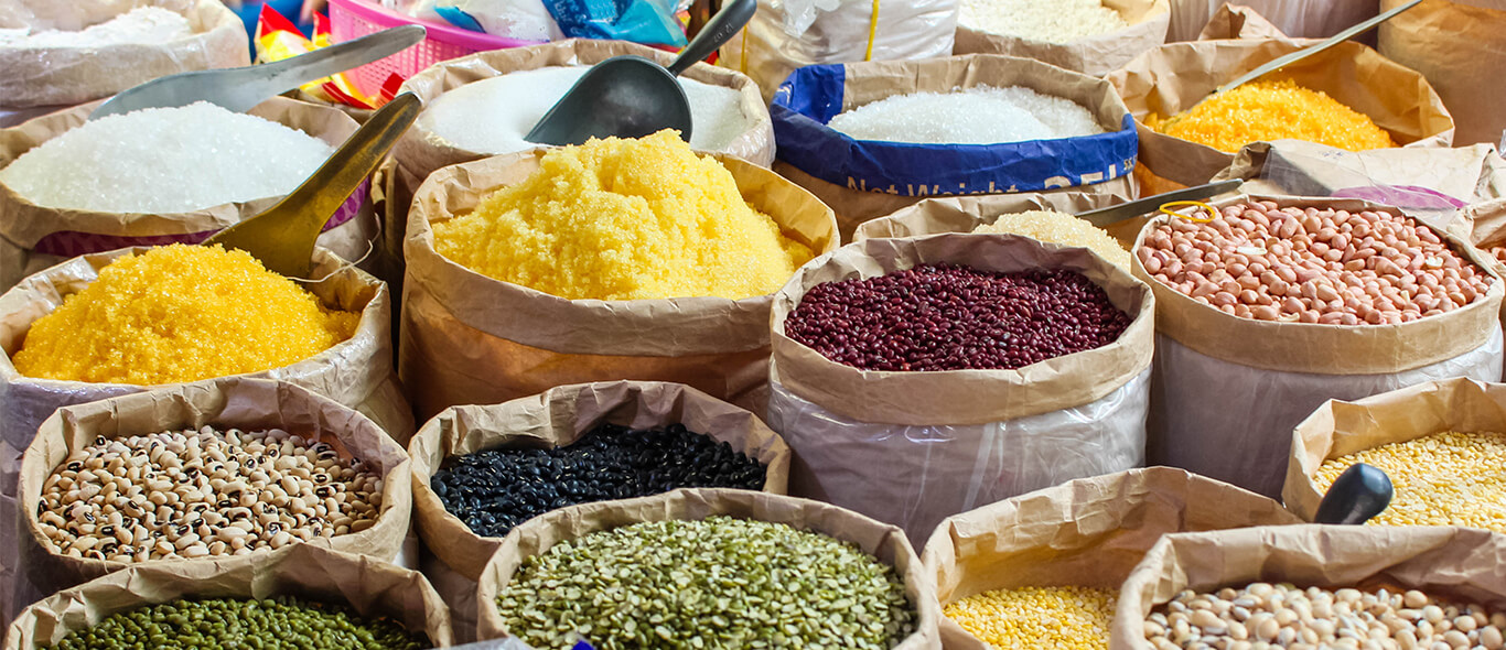 Bột Trái cây xuất khẩu